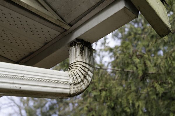 Cost of Roof Drain Replacement in Buckeye